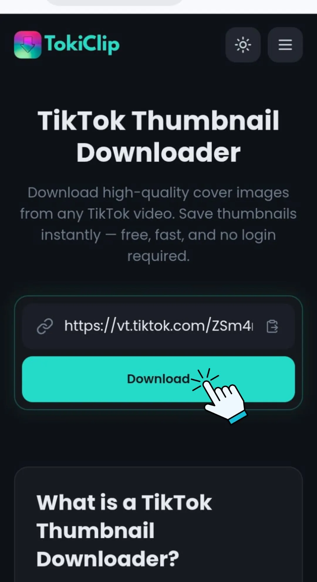 Paste into TokiClip