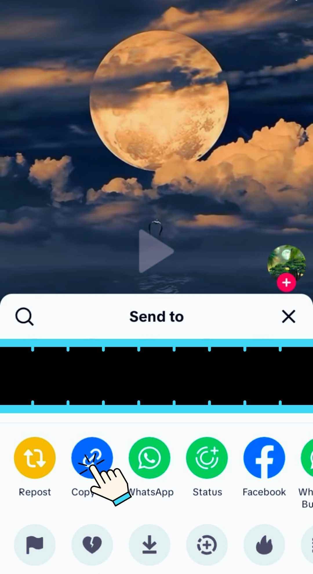 Copy the TikTok Video Link