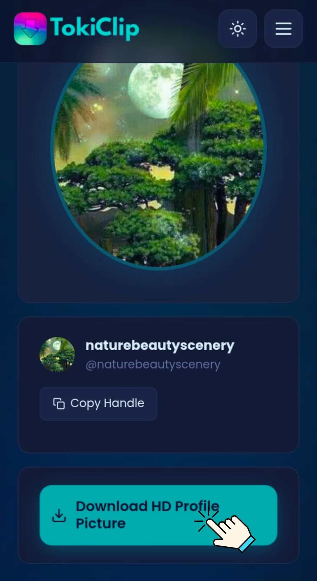 Download the Profile Picture