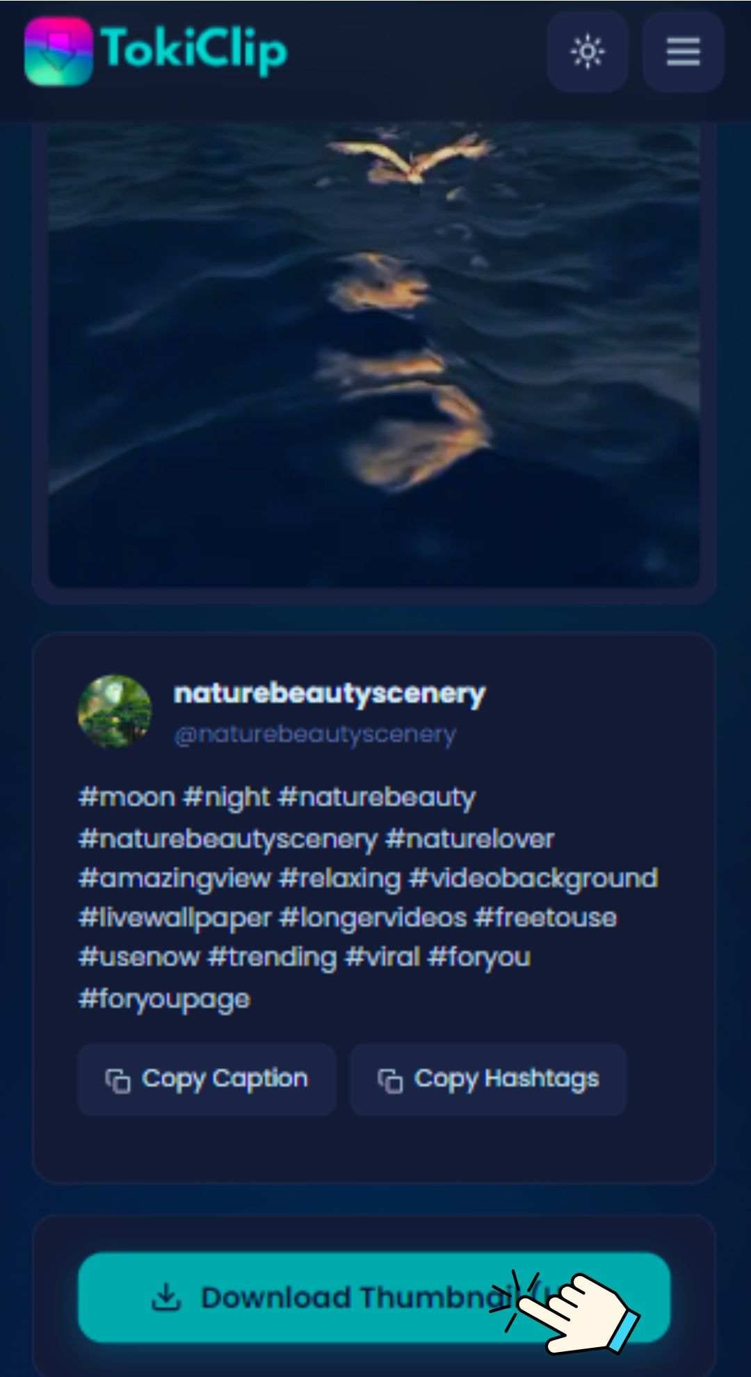 Download the Thumbnail